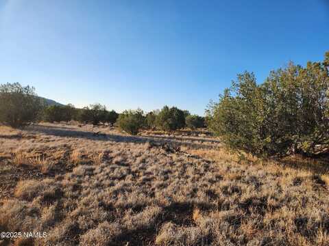 3405 W Pinto Drive, Williams, AZ 86046