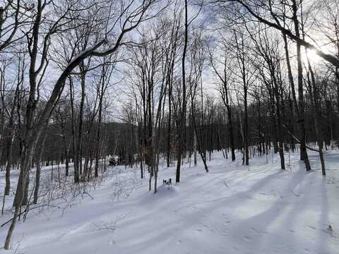 Lot 1 Streeter Road, Wardsboro, VT 05360