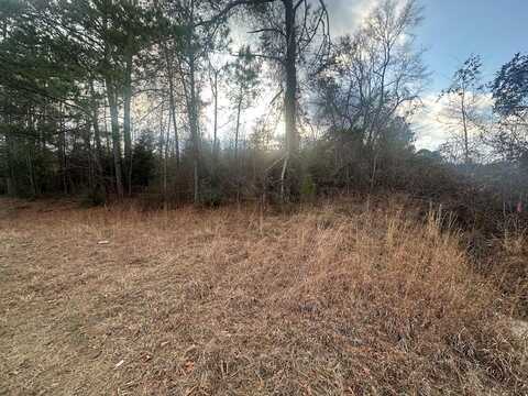 0 Highway 167, Jack, AL 36346