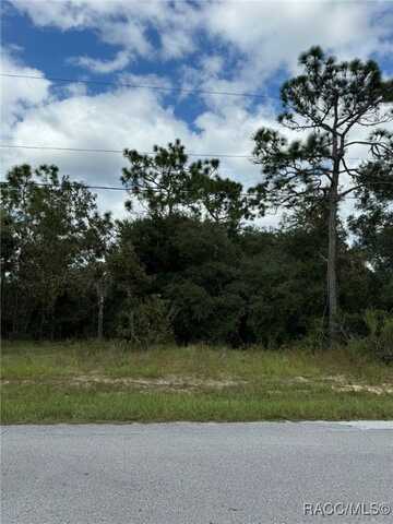 3059 E Murray Street, Inverness, FL 34453