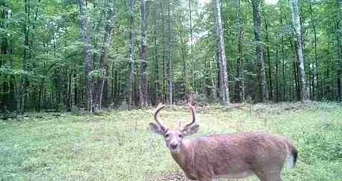 Highway 77 lot: 4, Hayward, WI 54843