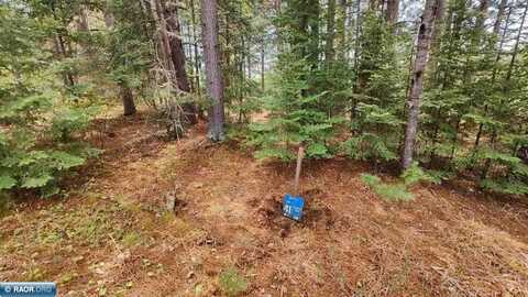 80064 Osprey Pass, Tower, MN 55790