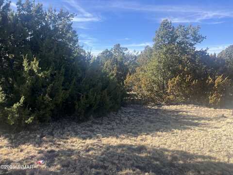 Tbd S Jimmy Street, Eagar, AZ 85925