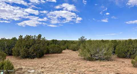 39 Alabama Avenue, Concho, AZ 85924