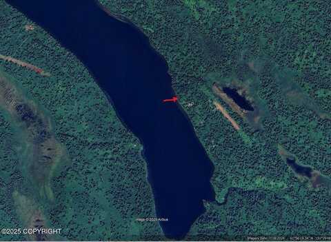 L39c Shell Lake, Skwentna, AK 99667