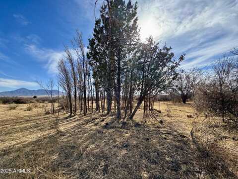 Tbd 5-acre W WILLYS RUN --, Bisbee, AZ 85603