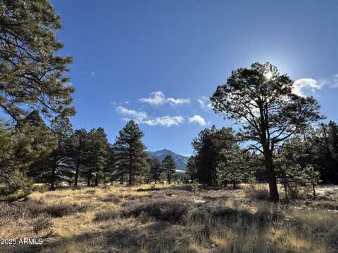 003 Hart Prairie Rd --, Flagstaff, AZ 86001