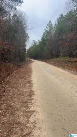 Lot 5 /2 Acre COUNTY ROAD 823, WADLEY, AL 36276