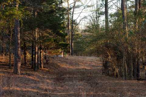 179 Polk Road 169, Hatfield, AR 71953