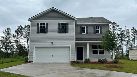 210 Bald Cypress Way, Conway, SC 29527