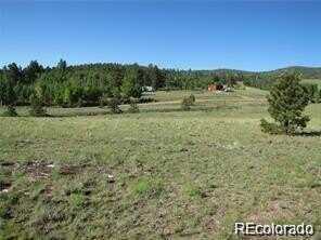 257 Bolster Drive, Hartsel, CO 80449