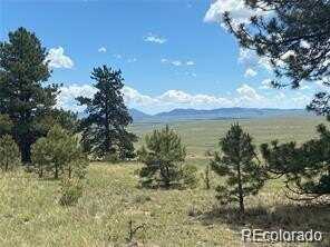 252 Angus Circle, Hartsel, CO 80449