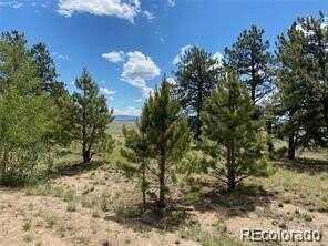 322 Angus Circle, Hartsel, CO 80449