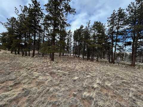 788 Wagon Wheel Road, Hartsel, CO 80449