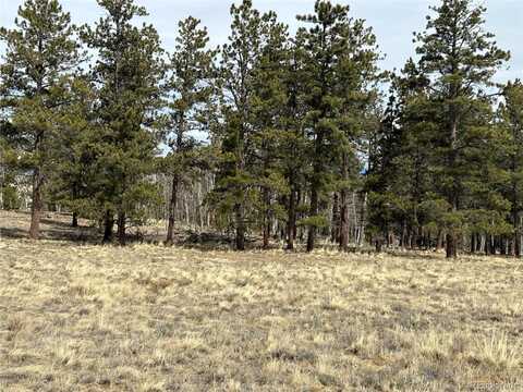 788 Wagon Wheel Road, Hartsel, CO 80449