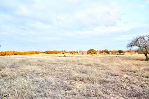 Lot 104 Oryx View Dr, Harper, TX 78631