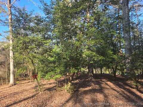 877 Elderberry Drive, Vass, NC 28394