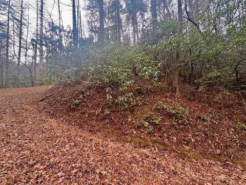 Lot 7a&b Indian Rock Lane, Bryson City, NC 28713