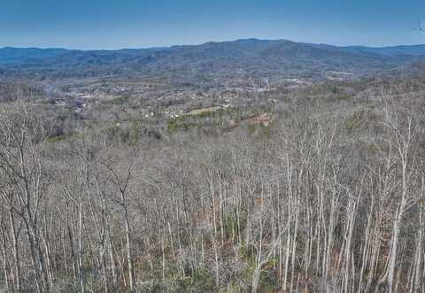 Breedlove Rd, Bryson City, NC 28713