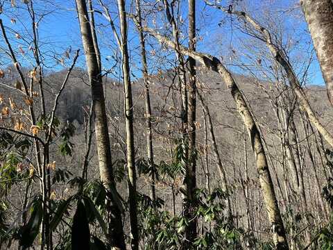 Tract 6 Upper North Fork Creek Road, Sylva, NC 28779