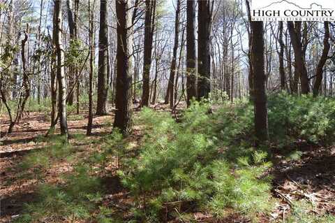 Tbd Pine Grove Circle, Sparta, NC 28675