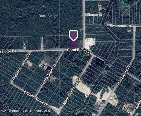 Coral Rock, Webster, FL 33597