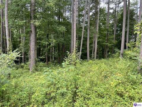 lot 13 Marina Point Lane, Falls Of Rough, KY 40119