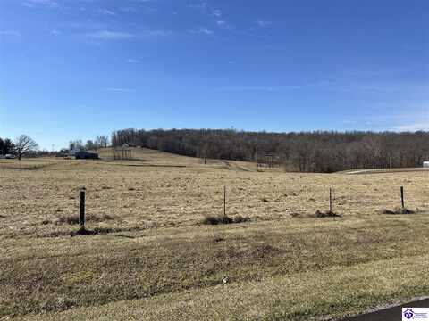 24 Swan Lake Estates Loop, Hardinsburg, KY 40143