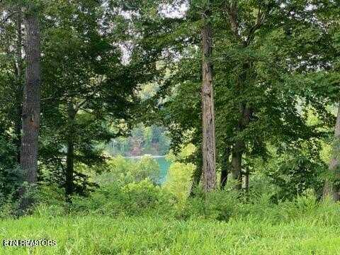 220 - 221 Suncrest Cove, La Follette, TN 37766