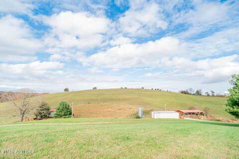 327 Leabow Hollow Rd Rd, Tazewell, TN 37879