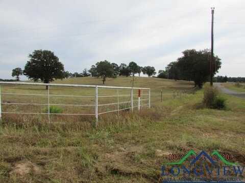 Tbd Oscar Ragon Rd, Harleton, TX 75651