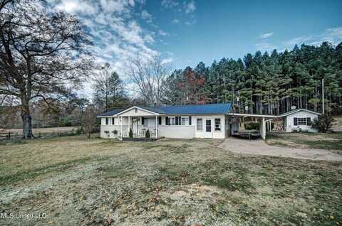 397 Keeli Road, Carthage, MS 39051