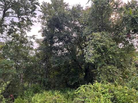Tbd GILBERT STREET, NEW PORT RICHEY, FL 34654