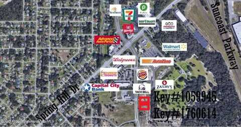 00 ANDERSON SNOW ROAD, SPRING HILL, FL 34609