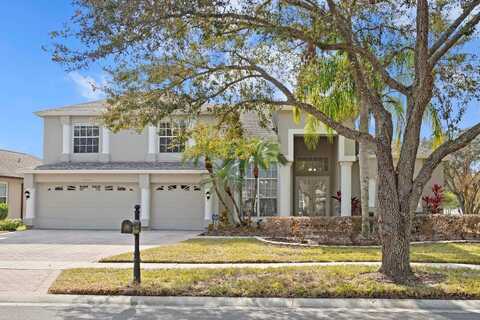 16346 ASHINGTON PARK DRIVE, TAMPA, FL 33647