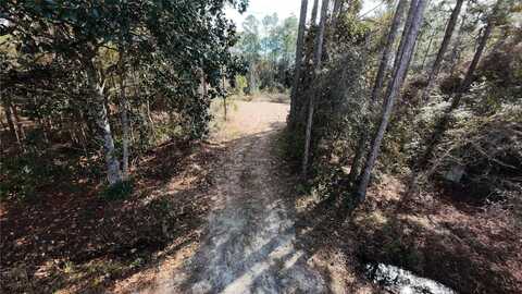 Lot 6 Block 115 S 8TH STREET, SANTA ROSA BEACH, FL 32459