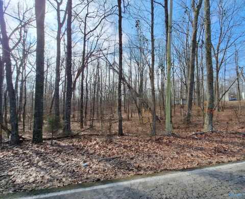 2 Acres Keel Mountain Road, Gurley, AL 35748