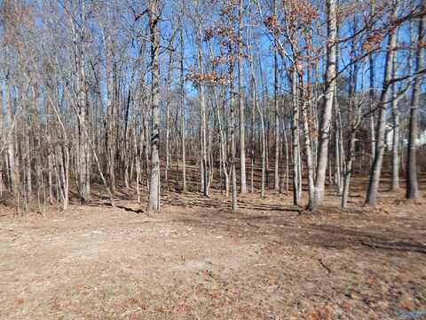 3 Acres Horizon Street, Sylvania, AL 35988