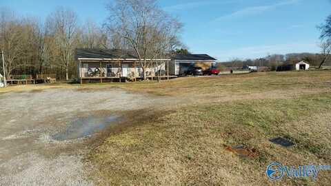 1286 County Road 209, Danville, AL 35619