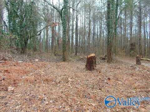 7 Acres Carters Gin Road, Toney, AL 35773