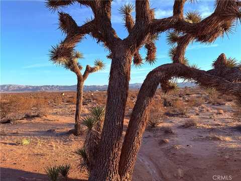 2700 Del Sol, Joshua Tree, CA 92252