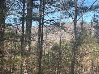 Lot9 Pinehurst Road, Blairsville, GA 30512