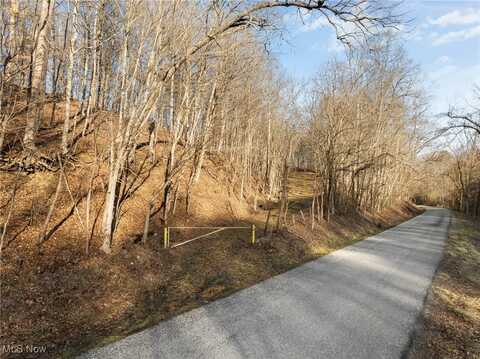 0 Little McMahon Creek Road, Saint Clairsville, OH 43950