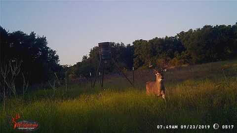 1343 County Rd188, Cross Plains, TX 76443