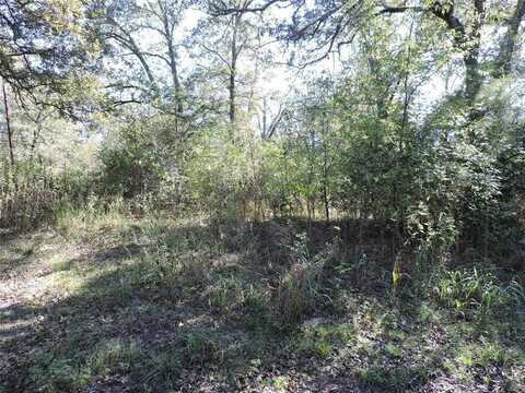 0 Tempie Road, Trinidad, TX 75163