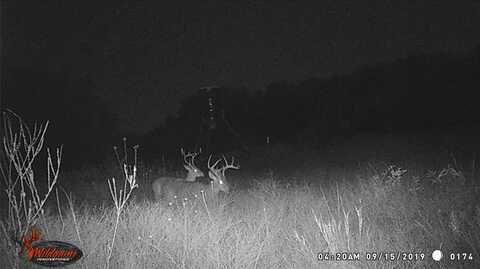 Tbd CR 188 Cross Plains, Cross Plains, TX 76443