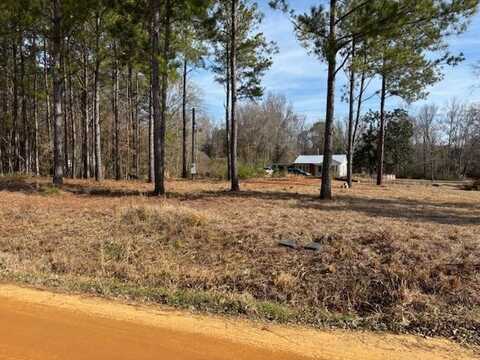 120 Hawkins Rd, Dozier, AL 36028