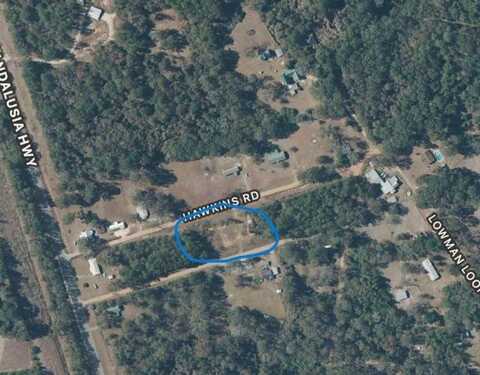 00-1 Hawkins Rd, Dozier, AL 36028