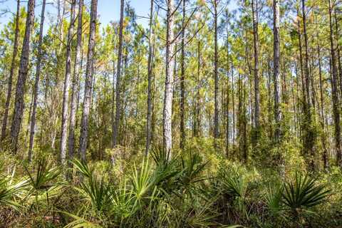 XX1 NE Firebreak 21 Road, Hosford, FL 32334