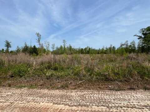 0 Beaver Pond Road, Luverne, AL 36049